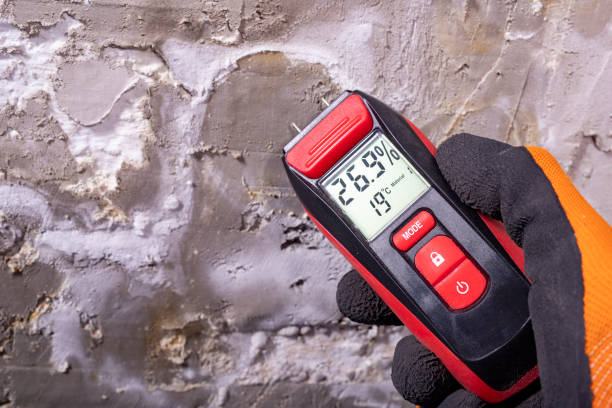 Best Mold Remediation  in Bridgeport, OH